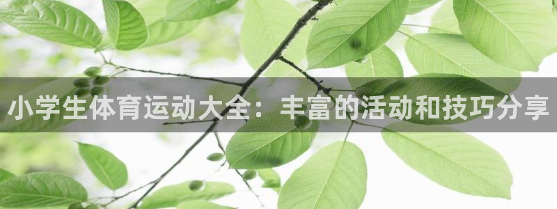 oety欧亿：小学生体育运动大全：丰富的活动和技巧分享