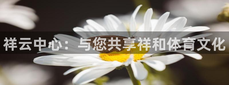 oety欧亿：祥云中心：与您共享祥和体育文化