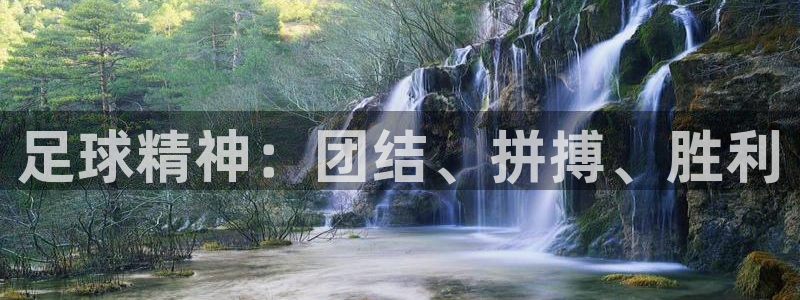 oety欧亿：足球精神：团结、拼搏、胜利
