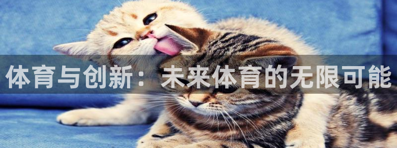 oety欧亿：体育与创新：未来体育的无限可能